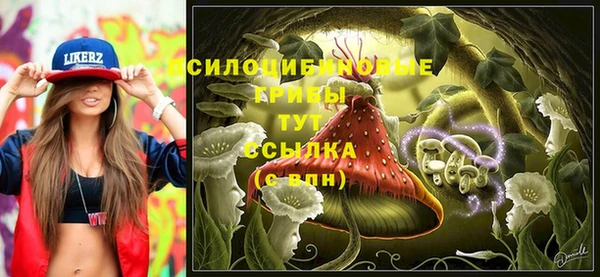 соль ск Вязьма